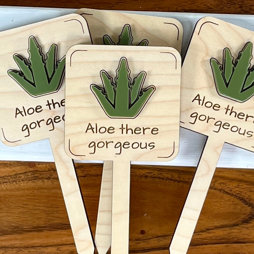 Aloe There Gorgeous maple plant stakes fanned out showing green acrylic aloe vera design