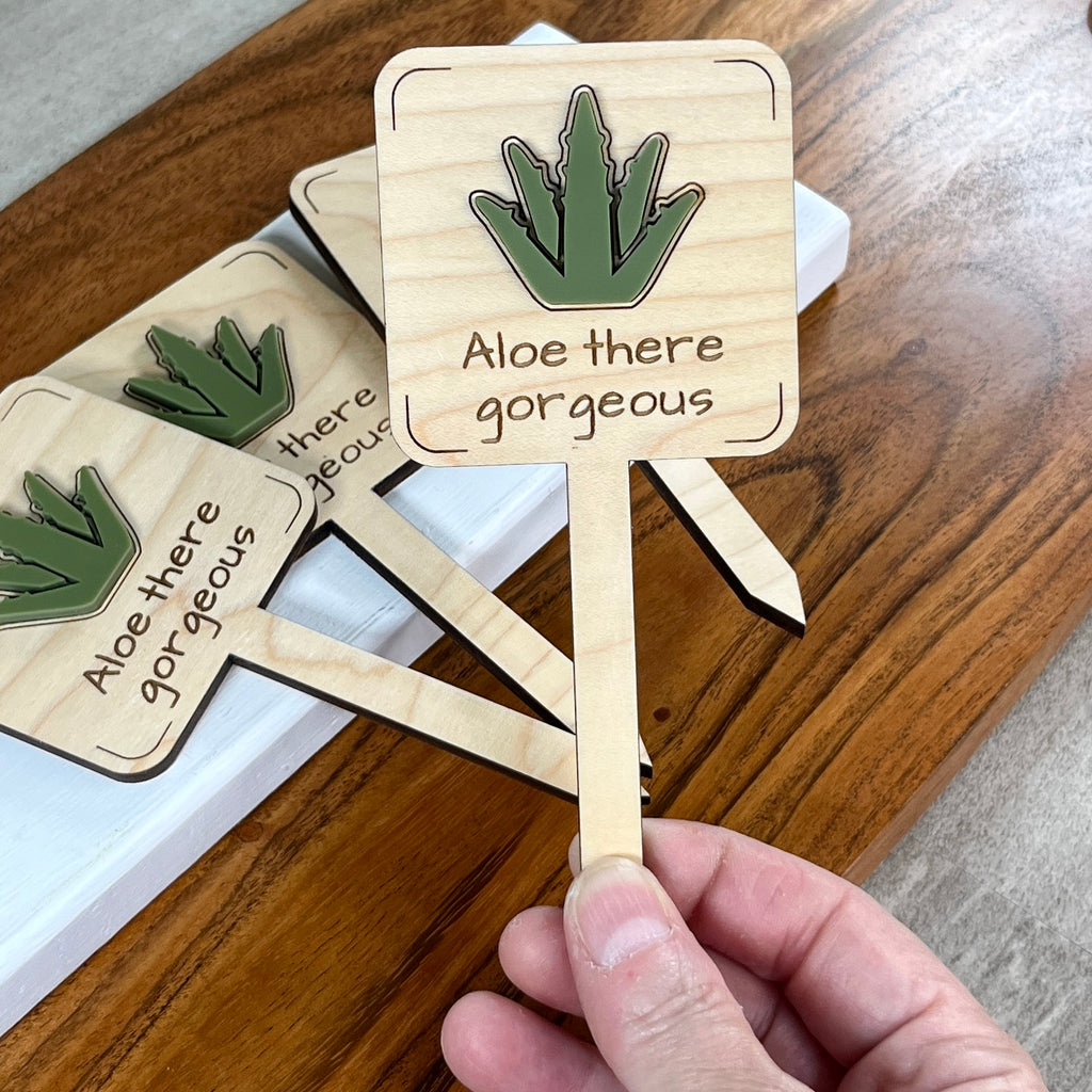 Hand holding Aloe There Gorgeous maple plant stake showing green acrylic aloe vera detail