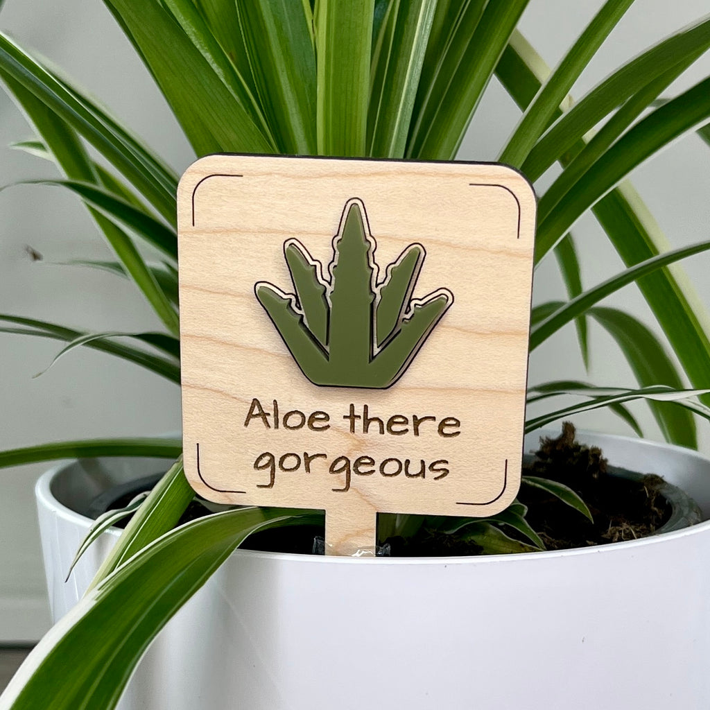 Aloe There Gorgeous maple wood plant stake with green acrylic aloe vera in white pot