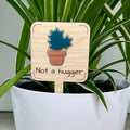 Not a Hugger maple wood plant stake with teal acrylic cactus in a terracotta pot in a white planter