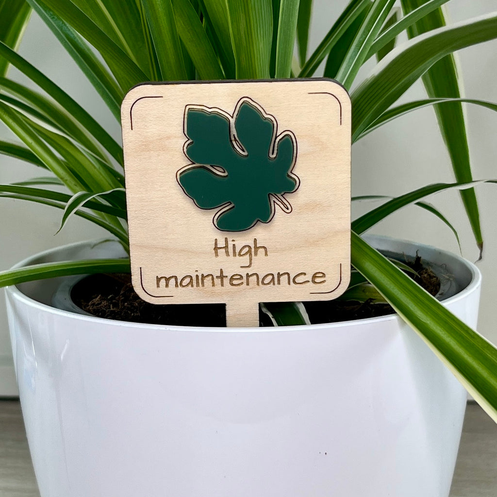 High Maintenance maple wood plant stake with forest green acrylic fig leaf in a white pot
