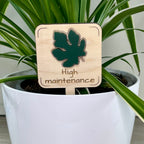 High Maintenance maple wood plant stake with forest green acrylic fig leaf in a white pot