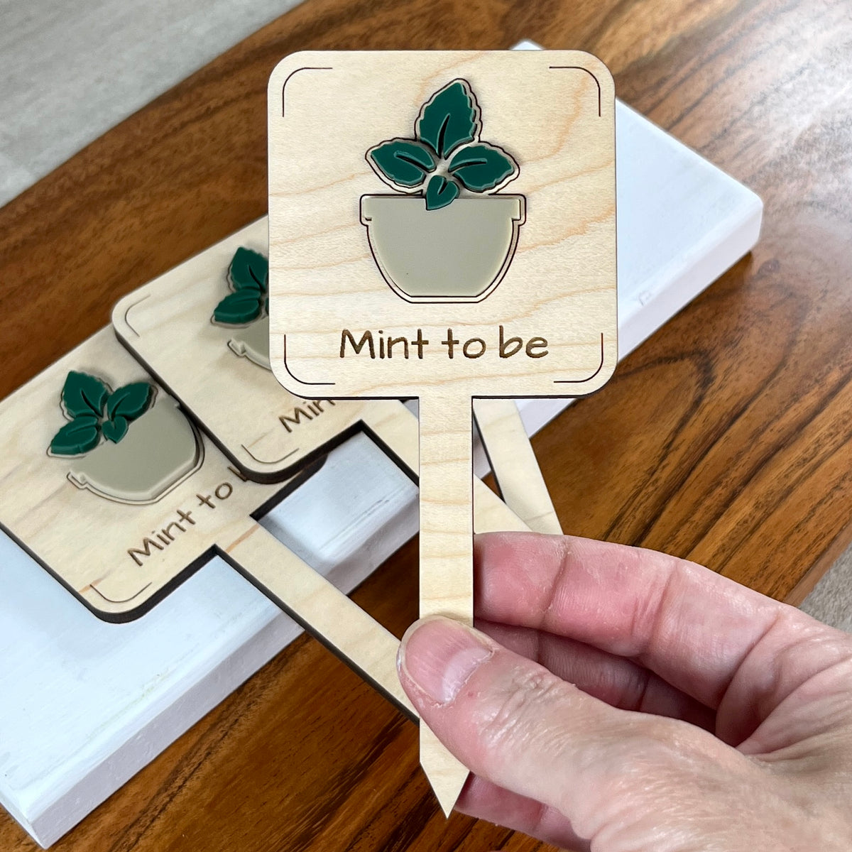 Hand holding Mint to Be laser-cut maple wood plant stake with dark green acrylic mint and taupe pot