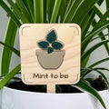 Mint to Be maple wood plant stake with dark green acrylic mint leaves in a white pot