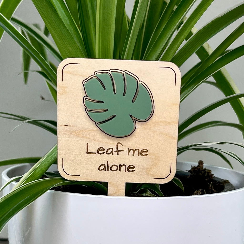 Leaf Me Alone maple wood plant stake with sage green acrylic monstera leaf in a white pot