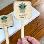 Hand holding two Lookin' Sharp laser-cut maple wood plant stakes with green acrylic snake plant