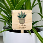 Lookin' Sharp maple wood plant stake with green acrylic snake plant in a white pot