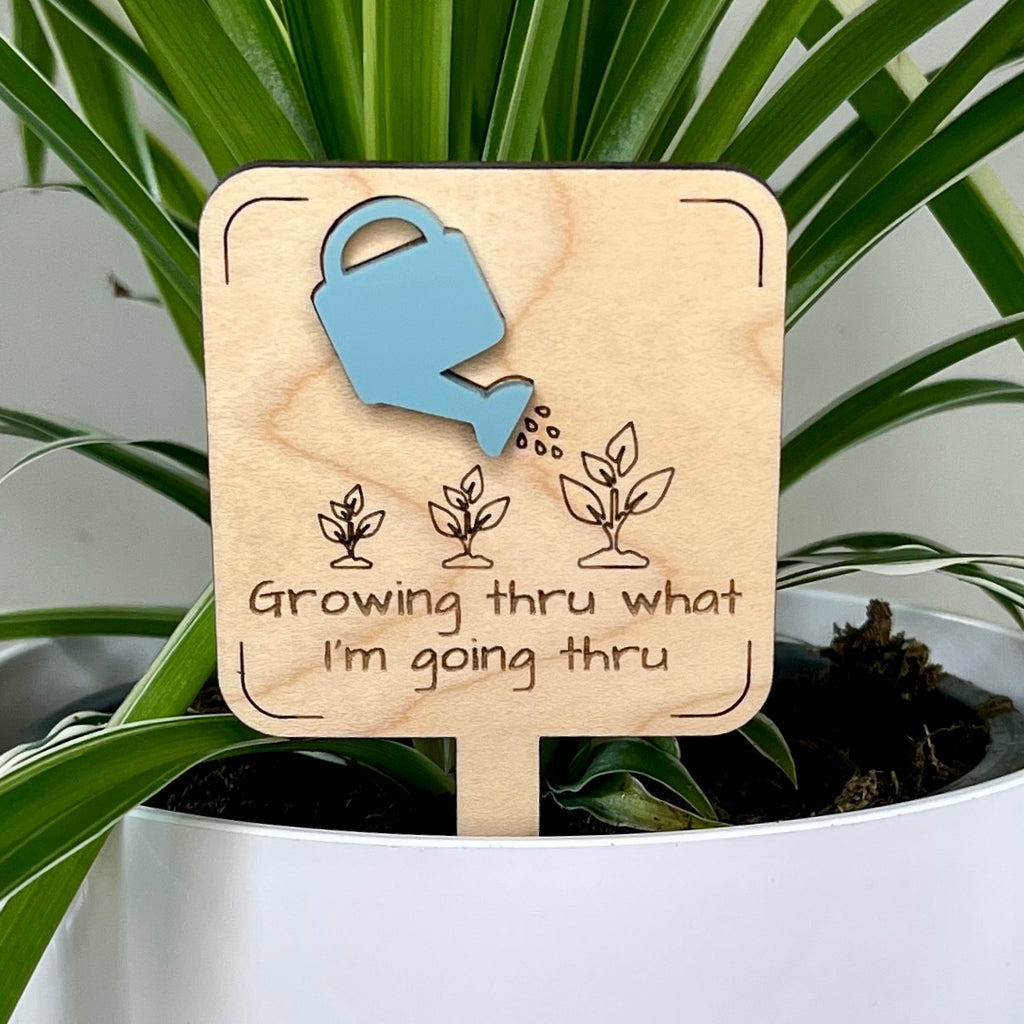 Growing Thru What I'm Going Thru maple wood plant stake with blue acrylic watering can in a white pot