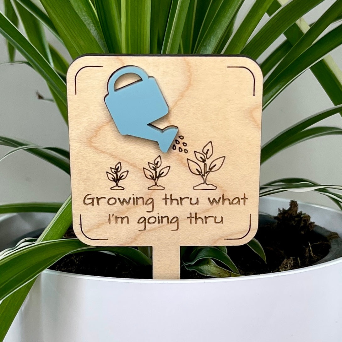 Growing Thru What I'm Going Thru maple wood plant stake with blue acrylic watering can in a white pot